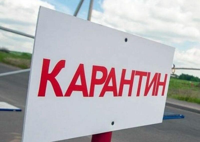 Карантин