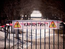 карантин